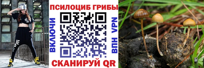 Галлюциногенные грибы MAGIC MUSHROOMS  Кизляр 
